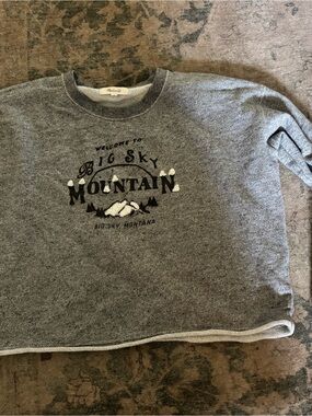 Madewell  Grey Big Sky Mountain Graphic Sweatshirt, women’s size M